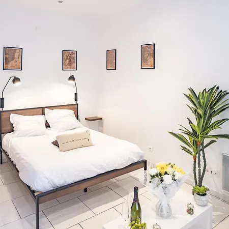 Apartment Smart Confort 3 - Confort Et Style Troyes