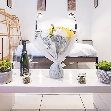 Smart Confort 3 - Confort Et Style Apartment Troyes